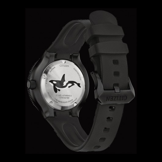 BN0235-01E - PROMASTER DIVER ORCA