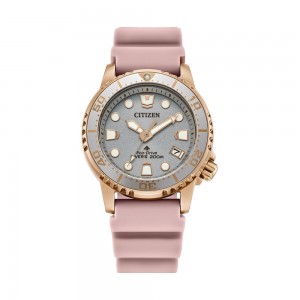 Promaster Diver