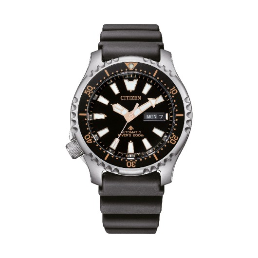 NY0160-66EE - Promaster Marine, Limited Edition 4.000 pcs worldwide