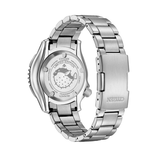 NY0160-66EE - Promaster Marine, Limited Edition 4.000 pcs worldwide