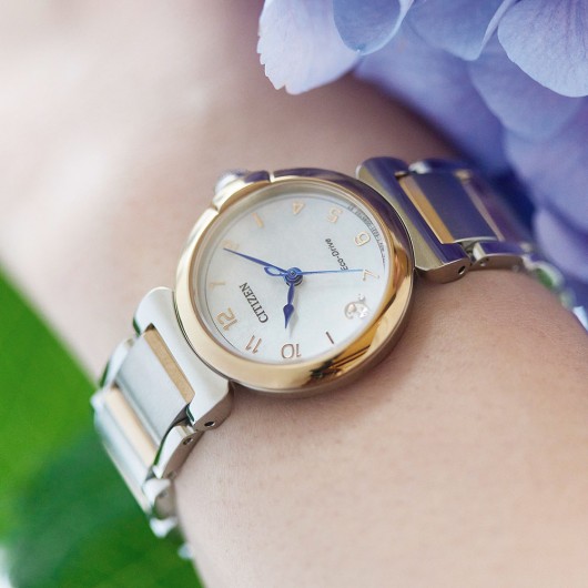 EM1136-87D - Citizen L