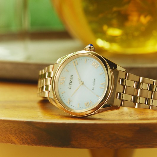 EM1143-81X - Citizen L